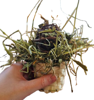 Binky bunny cups-marvellous marigolds