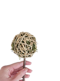 Loopy lops lollipops-The herby one