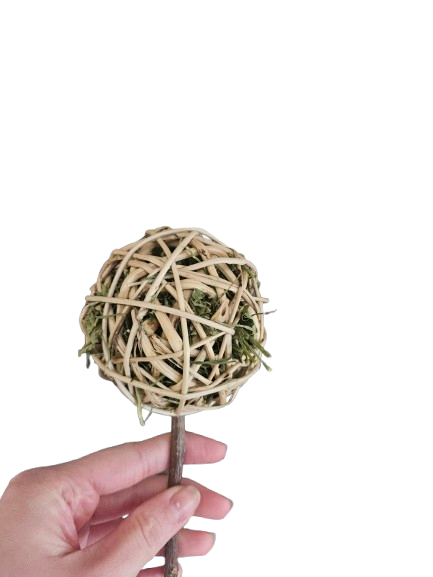 Loopy lops lollipops-The herby one