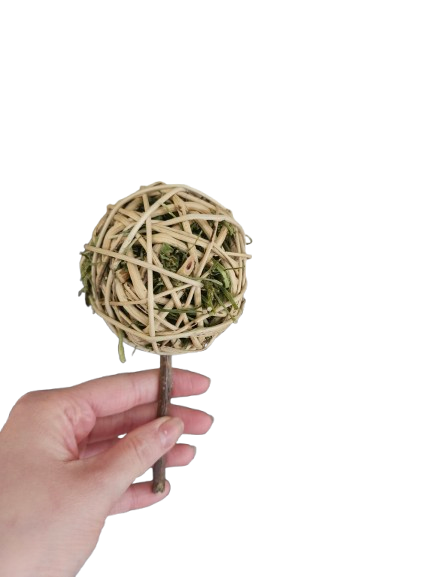 Loopy lops lollipops-The herby one