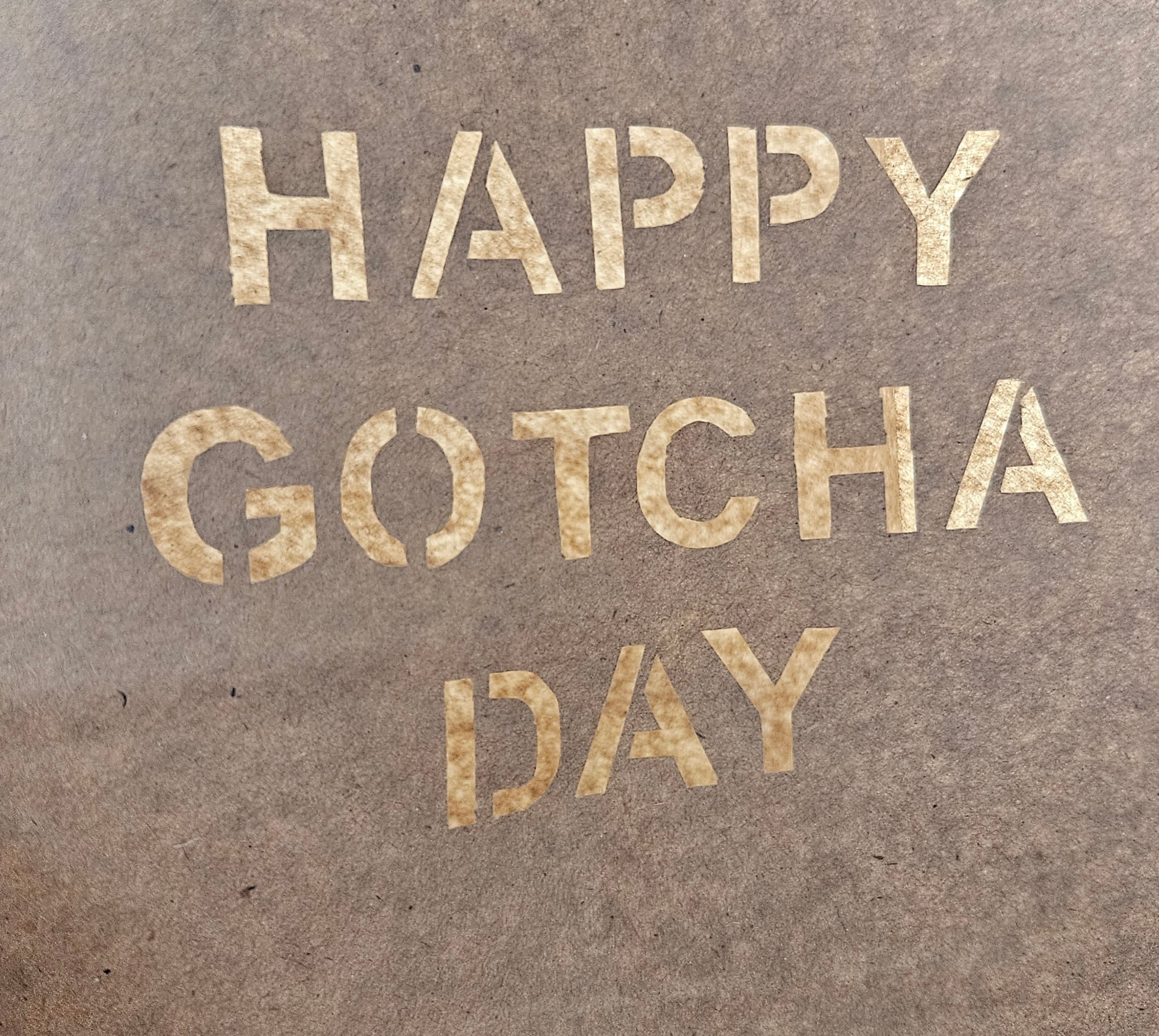 Gotcha Day Forage Bag