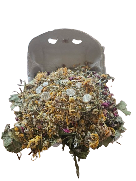 Forage Fiesta